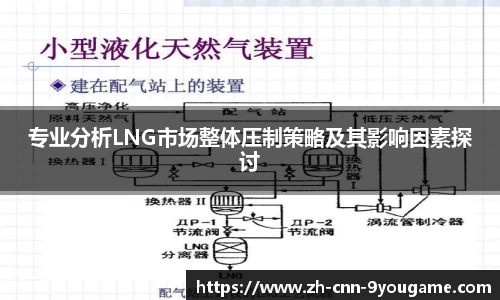 专业分析LNG市场整体压制策略及其影响因素探讨